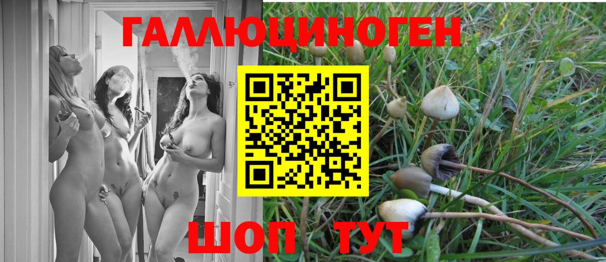Псилоцибиновые грибы Magic Shrooms Кандалакша
